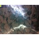 Filet de camouflage VERT/MARRON 3x 6 m